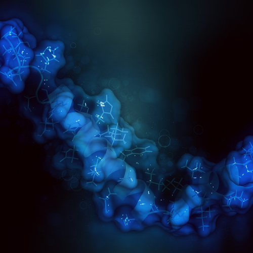 Peptides May Help Your Body